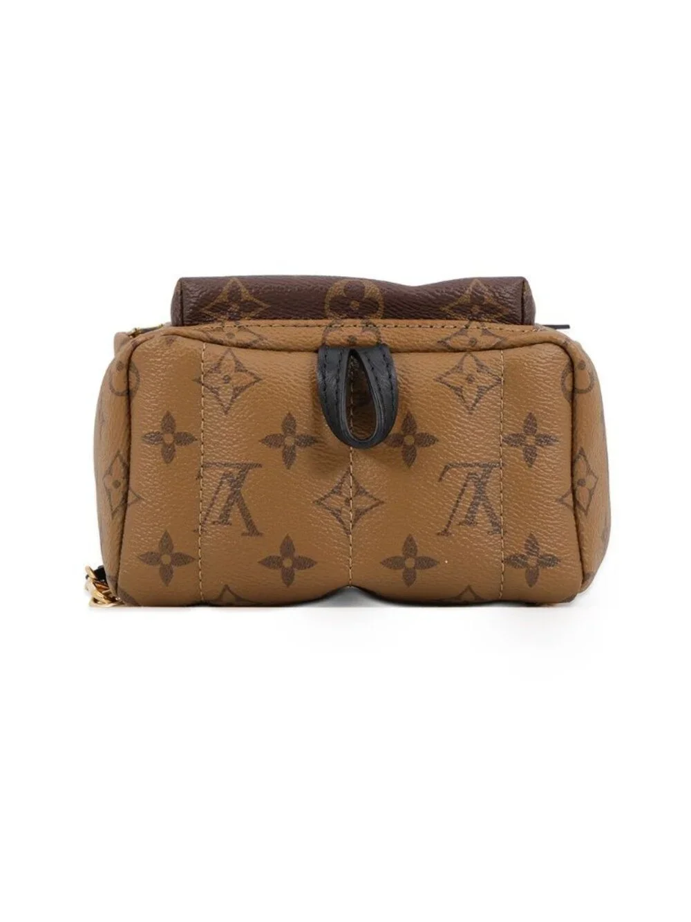Louis Vuitton Backpack Monogram Reverse Palm Springs Mini Bag Black